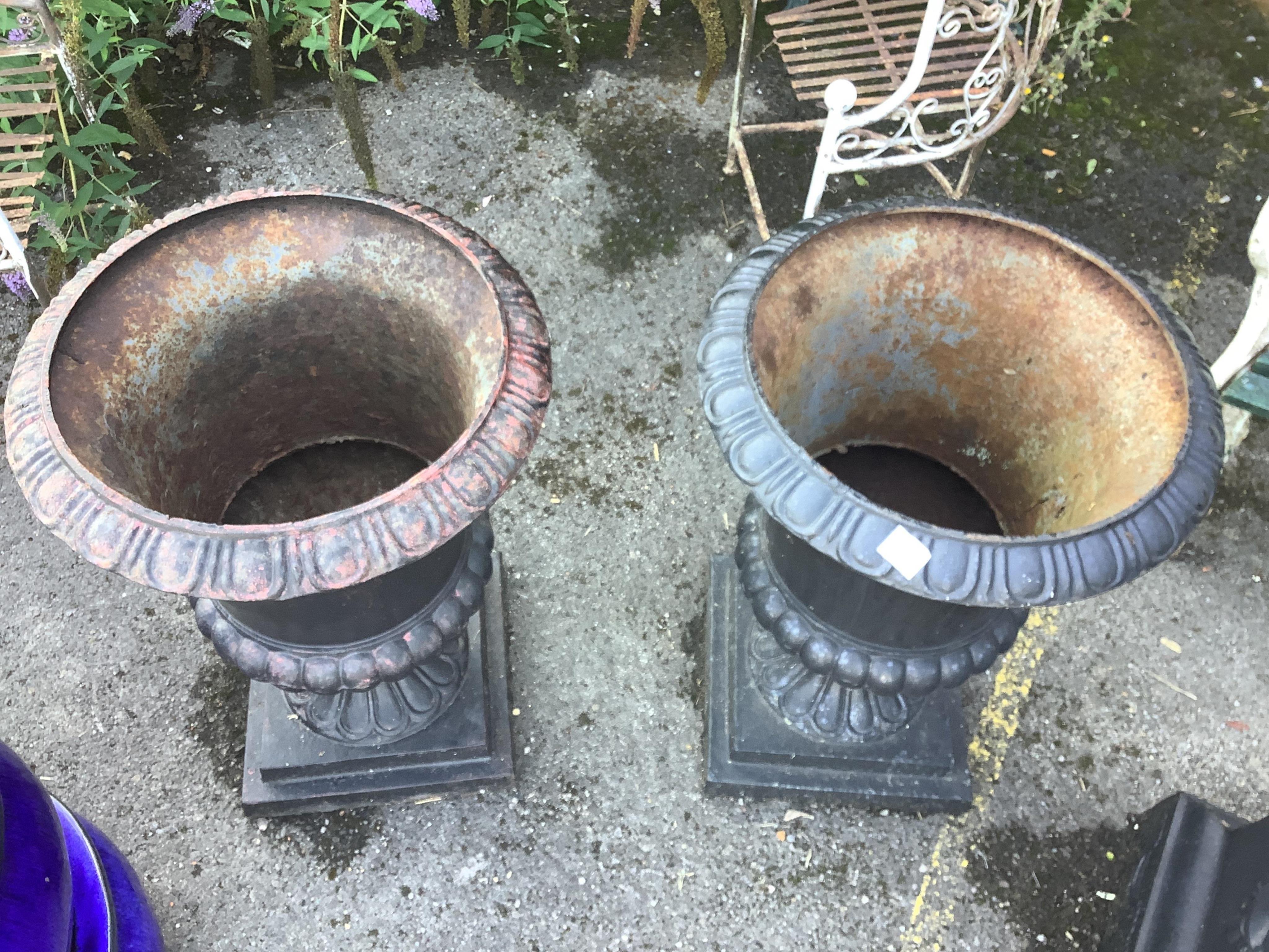 A pair of Victorian style black painted cast iron campana shaped garden urns, on square plinths, diameter 54cm, height 80cm. Condition - fair